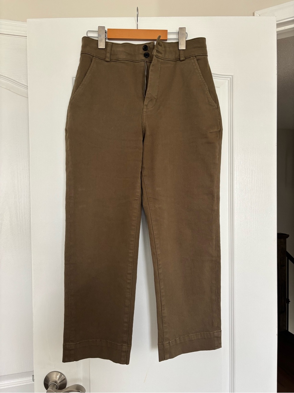 Everlane Olive Straight-Leg Chinos